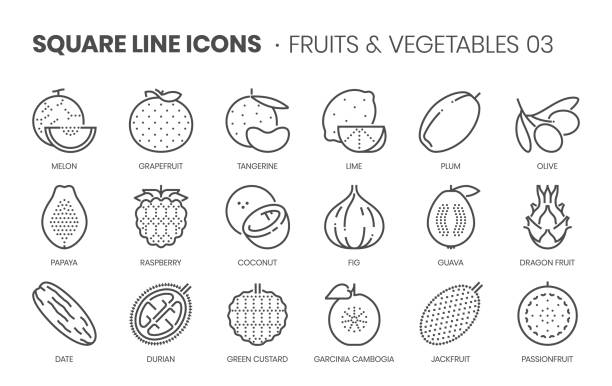 Fruits and vegetables three, square line icon set Fruits and vegetables three, square line icon set guava stock illustrations