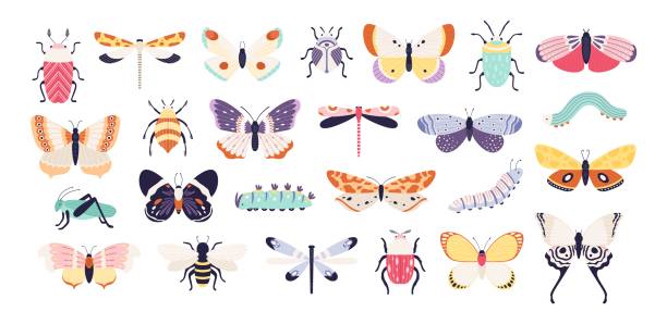 Decorative insects. Doodle beetles, butterflies, dragonflies, bee, caterpillar and grasshopper. Vintage spring bug and worm, flat vector set Decorative insects. Doodle beetles, butterflies, dragonflies, bee, caterpillar and grasshopper. Spring bug and worm, flat vector set. Grasshopper and dragonfly, butterfly with wings illustration butterfly insect stock illustrations