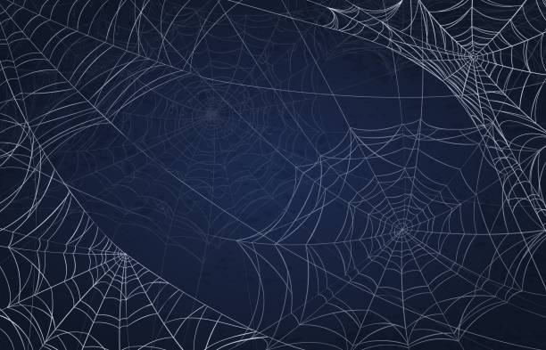 ilustraciones, imágenes clip art, dibujos animados e iconos de stock de fondo de tela de araña para halloween. patrón espeluznante con telarañas realistas. espeluznante decoración navideña, textura vectorial de telaraña goda aterradora - telaraña