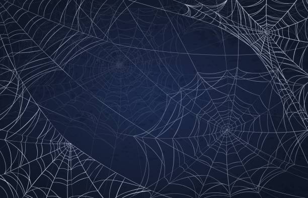 Spider web background for halloween. Spooky pattern with realistic cobwebs. Creepy holiday decoration, scary goth spiderweb vector texture Spider web background for halloween. Spooky pattern with realistic cobwebs. Creepy holiday decoration, scary goth spiderweb vector texture. Illustration halloween and spooky pattern spiderweb halloween border stock illustrations