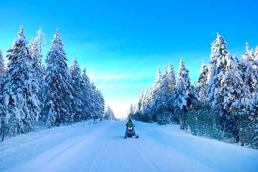 Snowmobiling on snowy mountain road with snow covered pine trees wilderness