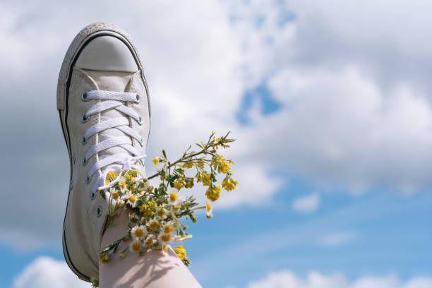Female legs on sky background during sunny day
