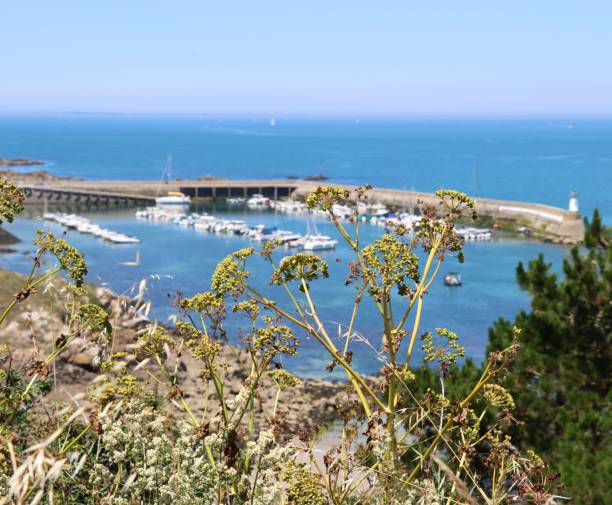 istock view on the harbor of Houat 1327292927