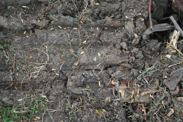 istock Soil, earth, ground, brown land background. Nature closeup. Environmental texture, pattern. Mud on field. 1327295494