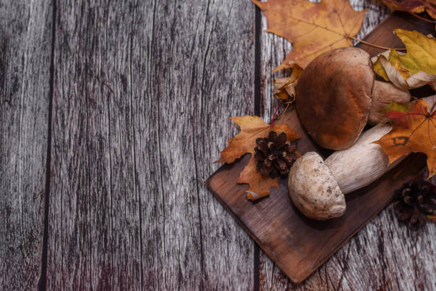 istock white mushroom.. on a board with yellow autumn leaves 1327298332