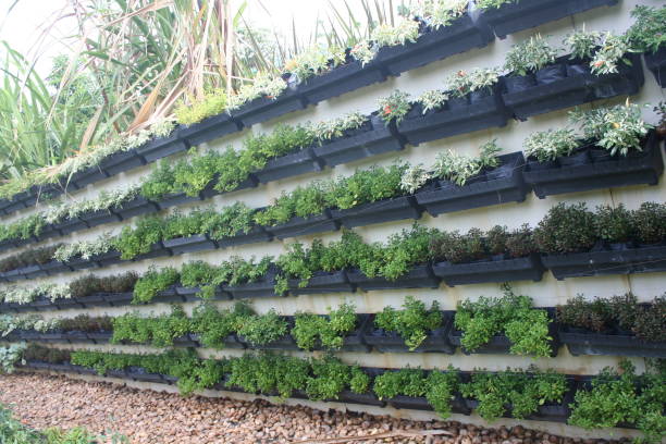 istock Vertical garden. Beautiful  garden with rows of hanging pots on the wall with sunlight. 1327299548