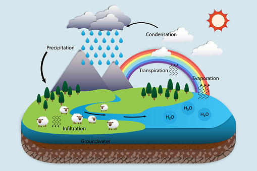 Diagram of Water cycle, Hydrologic cycle, Biogeochemical cycle for education chart, Soil layers and nature on the earth