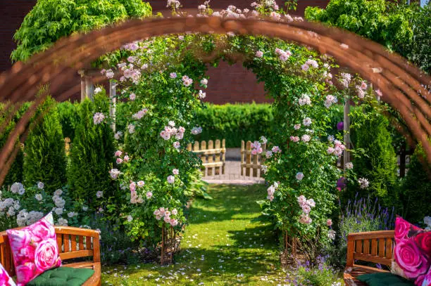 Photo of Lovingly designed garden with a cozy bench and rose arch