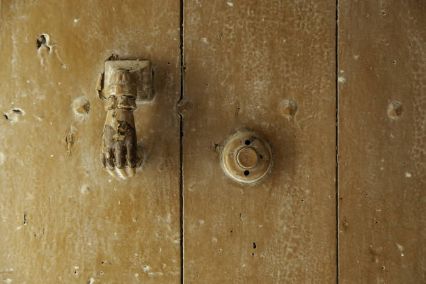 antike bronze türklopfen - door knocker door lion luxury stock-fotos und bilder