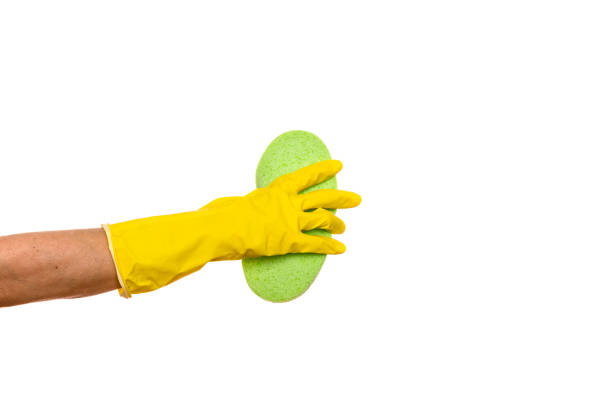 cleaning equipment