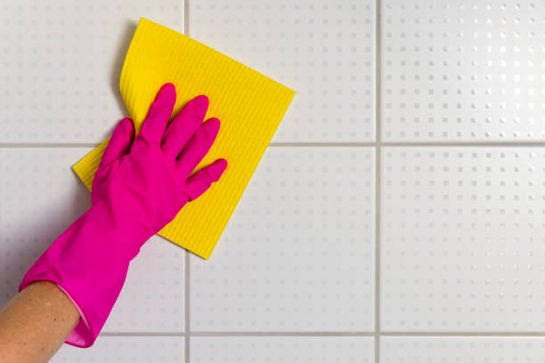 istock cleaning tiles in bathroom 1327304208