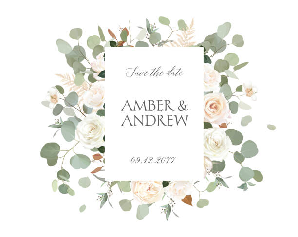 ilustraciones, imágenes clip art, dibujos animados e iconos de stock de eucalipto y rosas blancas, marco de invitación de diseño vectorial ranúnculo. - invitación de boda