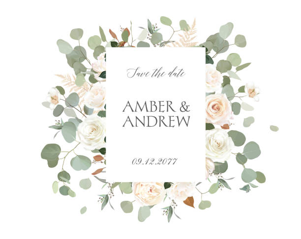 Eucalyptus and white roses, ranunculus vector design invitation frame. Eucalyptus and white roses, ranunculus vector design invitation frame. Rustic wedding greenery. Mint, creamy, beige, green tones. Watercolor card.Summer rustic style.Elements are isolated and editable wedding invitation stock illustrations