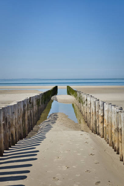 ertical blick auf zwei reihen von pfahlköpfen, die während der ebbe im sommer in richtung nordsee führen - ebb tide stock-fotos und bilder