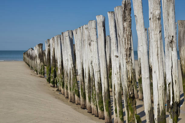 istock Horizontal view on a row of pile heads on a beach in summer 1327309708