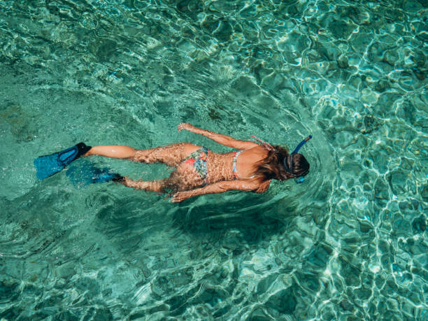Top view of woman snorkelling in the Maldives View from directly above, she swims in the reef of the Island fish swimming from above stock pictures, royalty-free photos & images