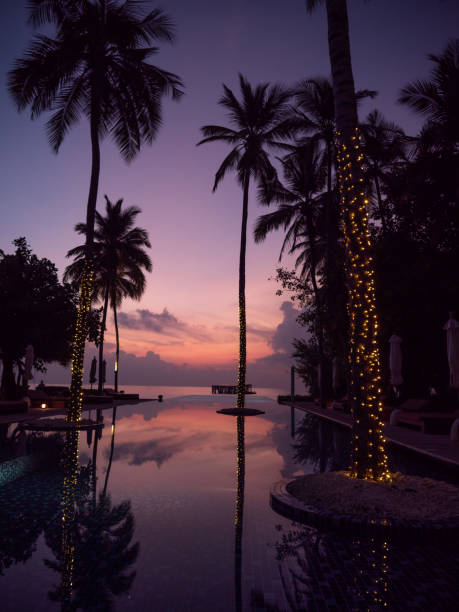Infinity pool at dusk, Maldives luxury hotel