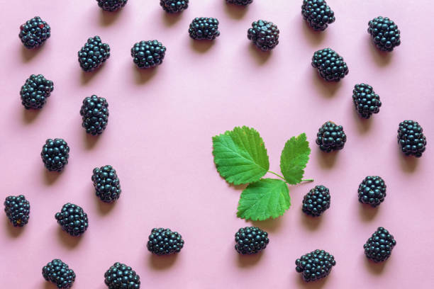 istock Fresh ripe blackberries on pink paper background 1327321369
