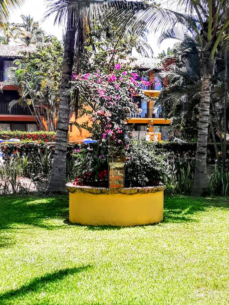 istock Vintage colonial-style architecture building in Mexico with Greenery growing 1327322189