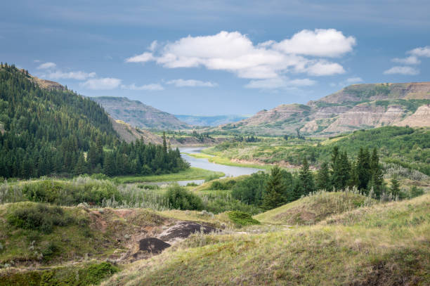 istock View at Dry Island Buffalo Jump 1327323004