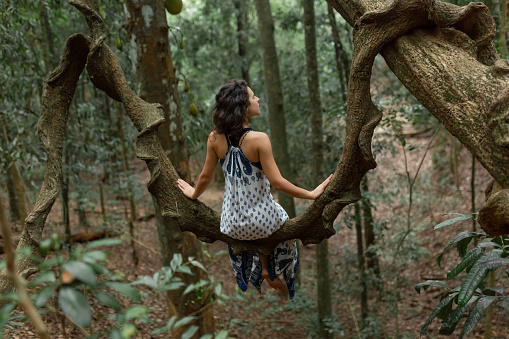 The girl sits on a huge liana tree branch in the jungle.