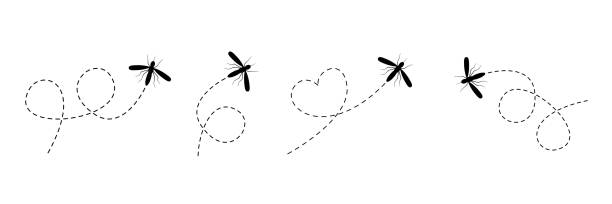 ilustraciones, imágenes clip art, dibujos animados e iconos de stock de conjunto de iconos de mosquitos. mosquitos volando en la colección de rutas punteadas. - mosquito malaria parasite biting insect