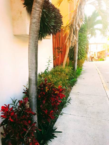 istock Vintage colonial-style architecture building in Mexico with Greenery growing 1327323968