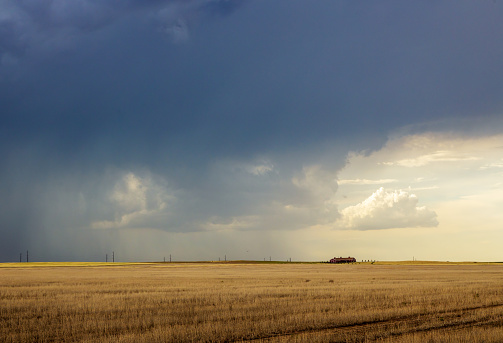 Dark storm clouds over the horizon with heavy rain on a windswept prairie, sunlight, and a farmhouse in the distance.