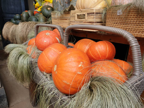 istock Pumpkin with Sun Flower 1327325717
