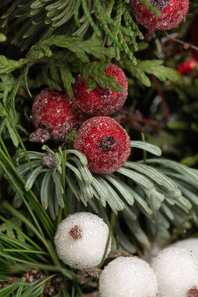istock decorative berries in Christmas card. Red and white crystals on coniferous needles 1327330387