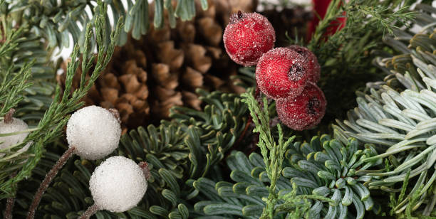 istock decorative berries in Christmas card. Red and white crystals on coniferous needles 1327330388