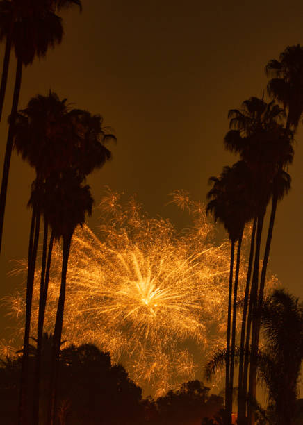 Illegal fireworks framed by palm trees in Highland Park Illegal fireworks framed by palm trees in Highland Park eagle rock stock pictures, royalty-free photos & images