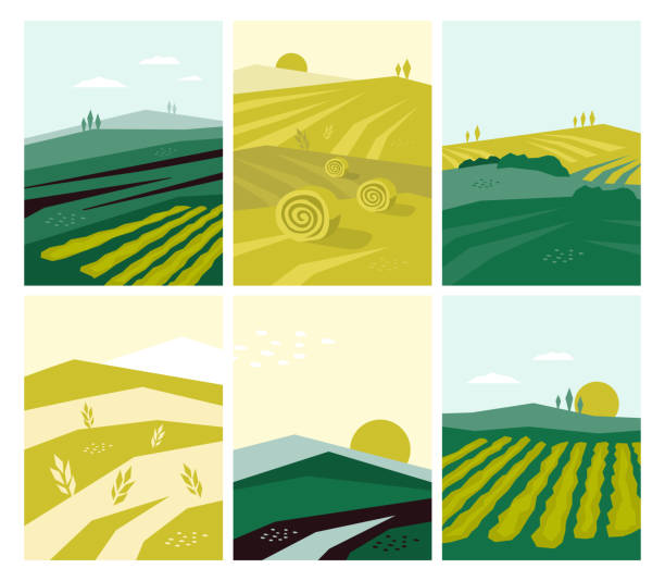 Set of vector agriculture illustrations with farming scene, farm land, nature scenery, agri landscape Set of vector agriculture posters with farm land, nature scenery, agri landscape. Agricultural field, farming pasture illustration. Banners with summer rural scene, autumn harvest. Abstract background plantation stock illustrations