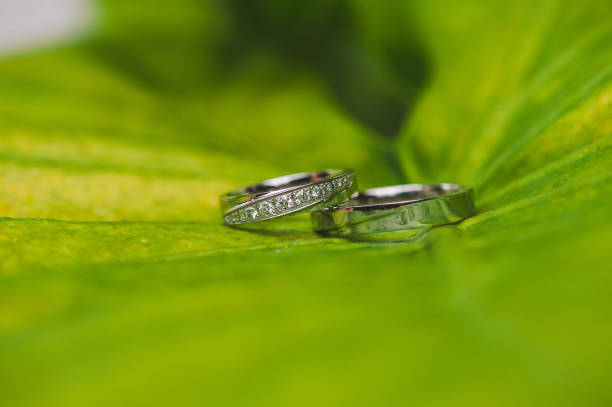 istock Wedding Rings on a Green Leaf 1327331727