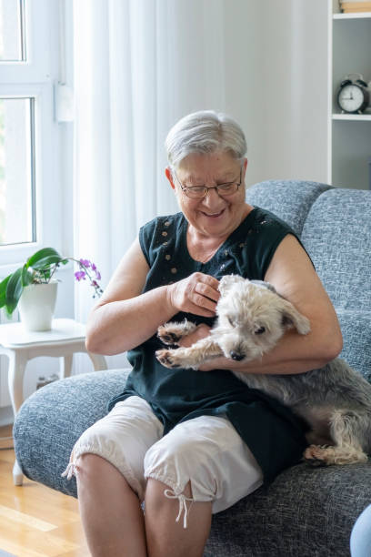 istock Senior woman with pet dog 1327334656