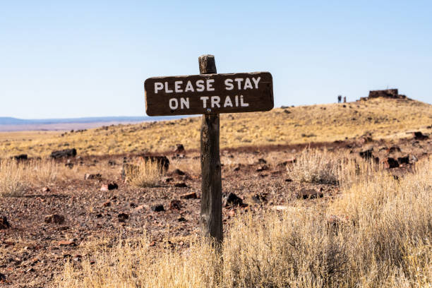 istock Please Stay On Trail Sign Surrounded By Petrified Wood 1327335495