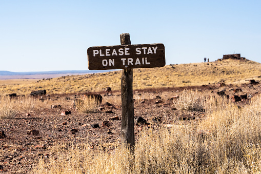 Please Stay On Trail Sign Surrounded By Petrified Wood in Arizona