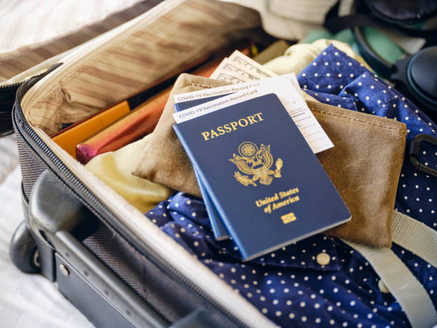 suitcase and passport - passaporte imagens e fotografias de stock