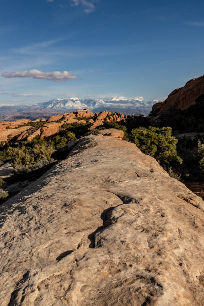 istock Trail Follows Fin Toward The La Sal Mountains 1327338211