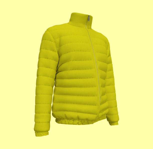 istock Men's warm sport puffer jacket isolated over white background 1327339753