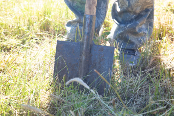 istock A shovel for carrying 1327342788