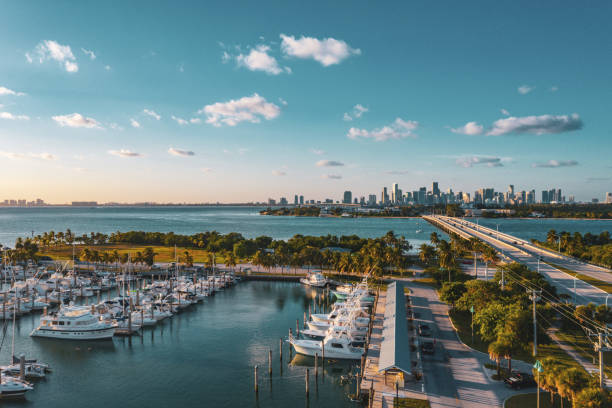 istock Crandon Marina with Miami Skyline 1327345129