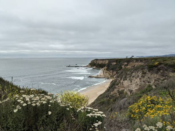 istock Half Moon Bay Coastal Trail 1327346851