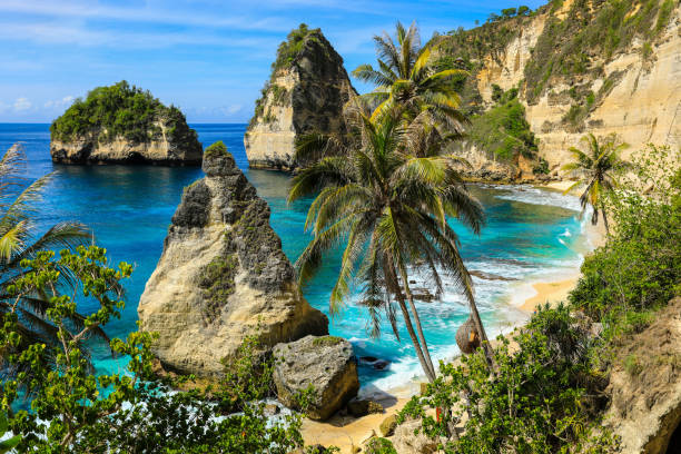 View of diamond beach. tropical beach in Bali Beautiful diamond beach. View of nice tropical beach with palms trees. Holiday and vacation concept. bali stock pictures, royalty-free photos & images