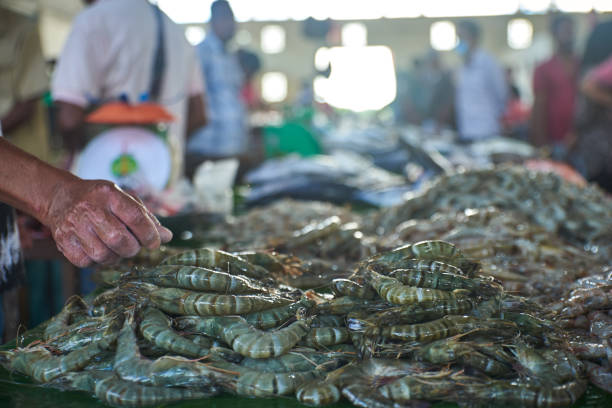 Pile of fresh raw shrimps for sale at Traditional seafood and fish market stock photo