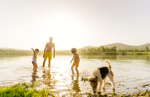 Photo of a young single father, his sons, and a dog enjoying their summer days by the lake.