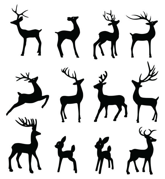 illustrations, cliparts, dessins animés et icônes de silhouettes de rennes noirs - famille du cerf