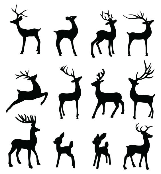 Black Reindeer Silhouettes Vector silhouettes of twelve reindeer. doe deer silhouette stock illustrations