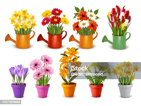 istock Mega collection of spring and summer colorful flowers in pots,  watering cans and vases. Vector 1327359686