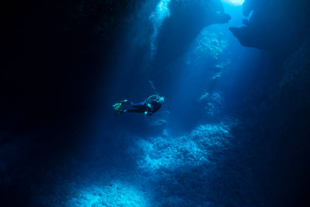 taucher in den blue holes in palau, mikronesien - deep sea diving stock-fotos und bilder